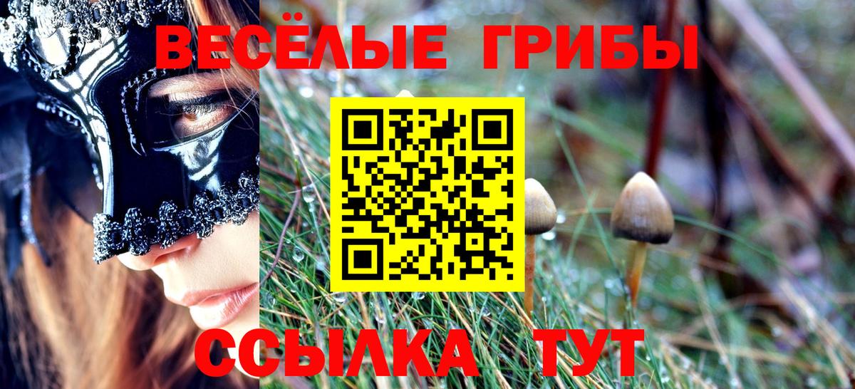 Галлюциногенные грибы ЛСД Саратов