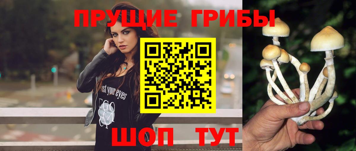 Саратов  Галлюциногенные грибы мицелий  Вход с VPN 